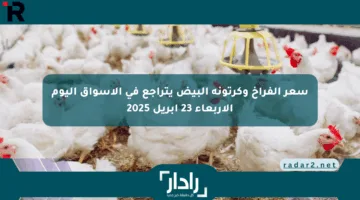 سعر الفراخ وكرتونة البيض يتراجع في الأسواق اليوم الأربعاء 23 أبريل 2025